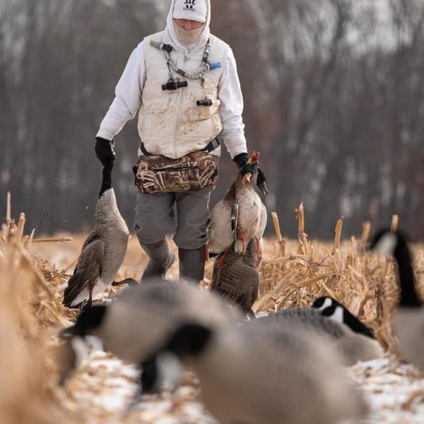 Michgan Duck and Goose Hunts